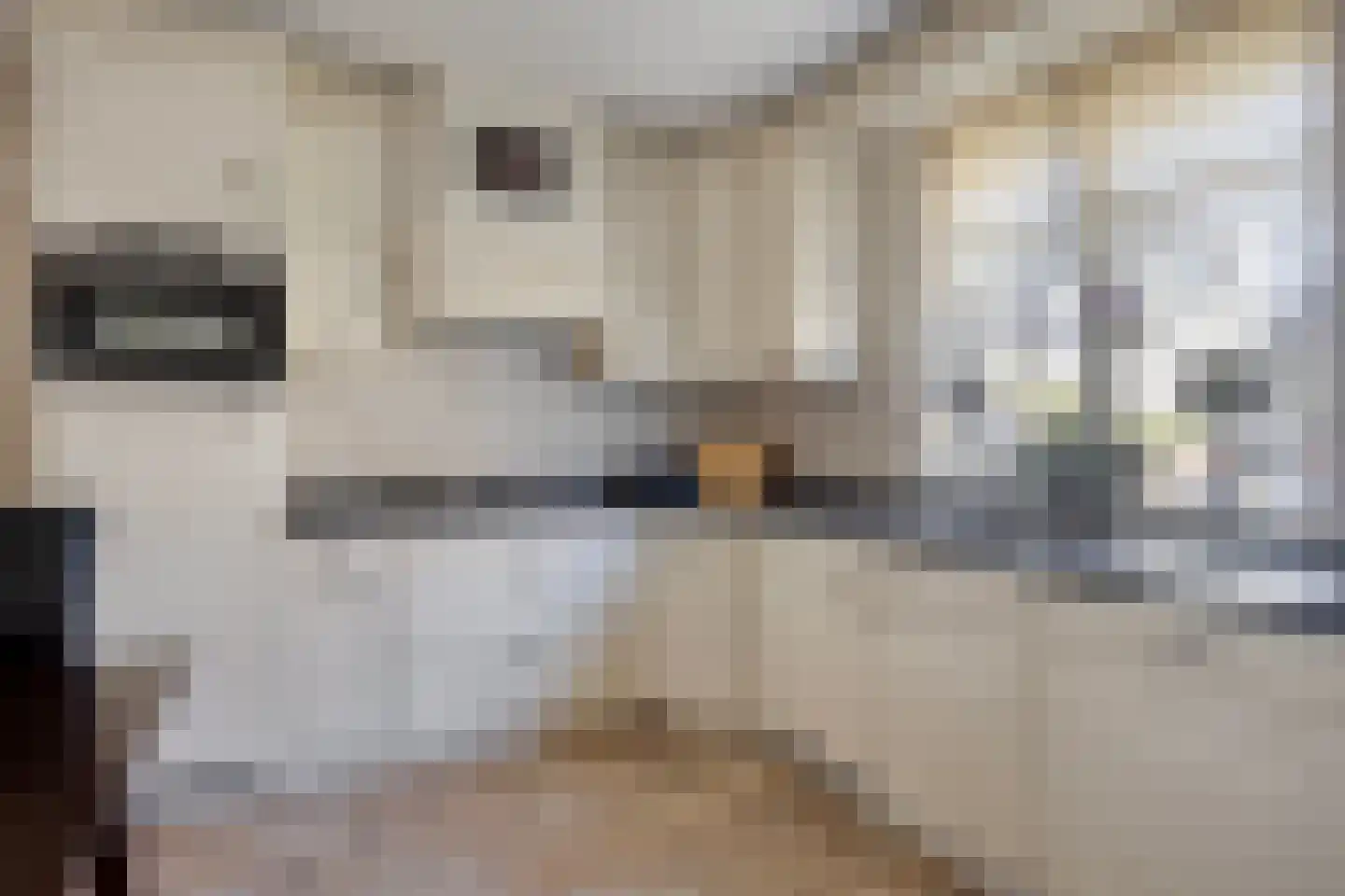 Jordaanstoep 3 Sliedrecht thumbnail 12