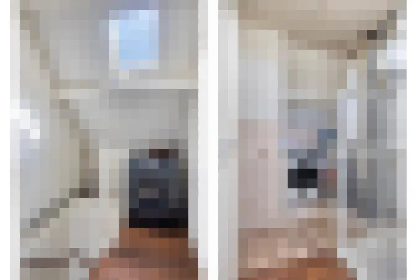 Jordaanstoep 3 Sliedrecht thumbnail 23