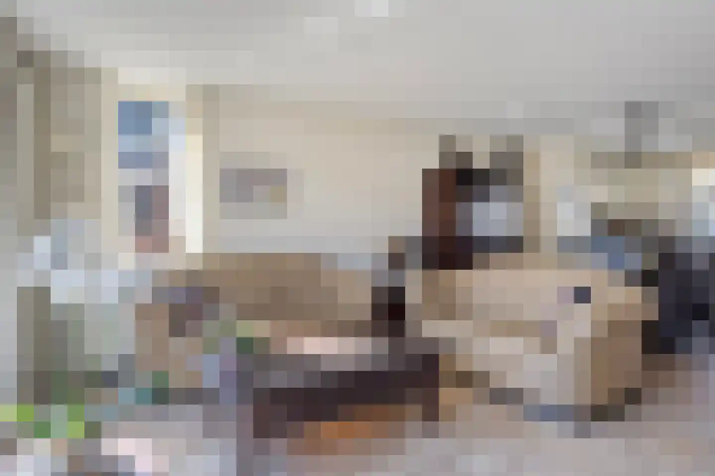 Jordaanstoep 3 Sliedrecht thumbnail 5