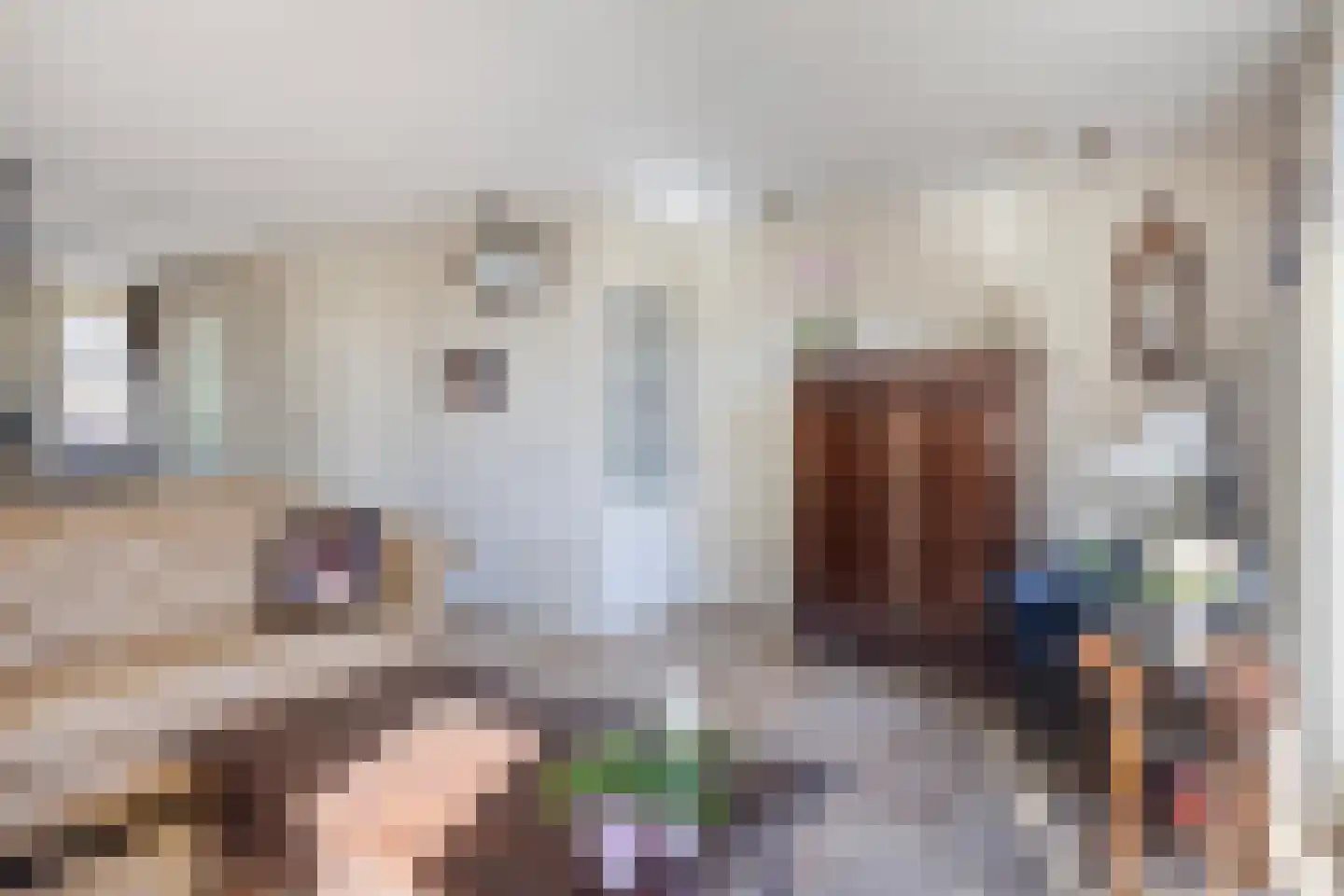 Jordaanstoep 3 Sliedrecht thumbnail 6