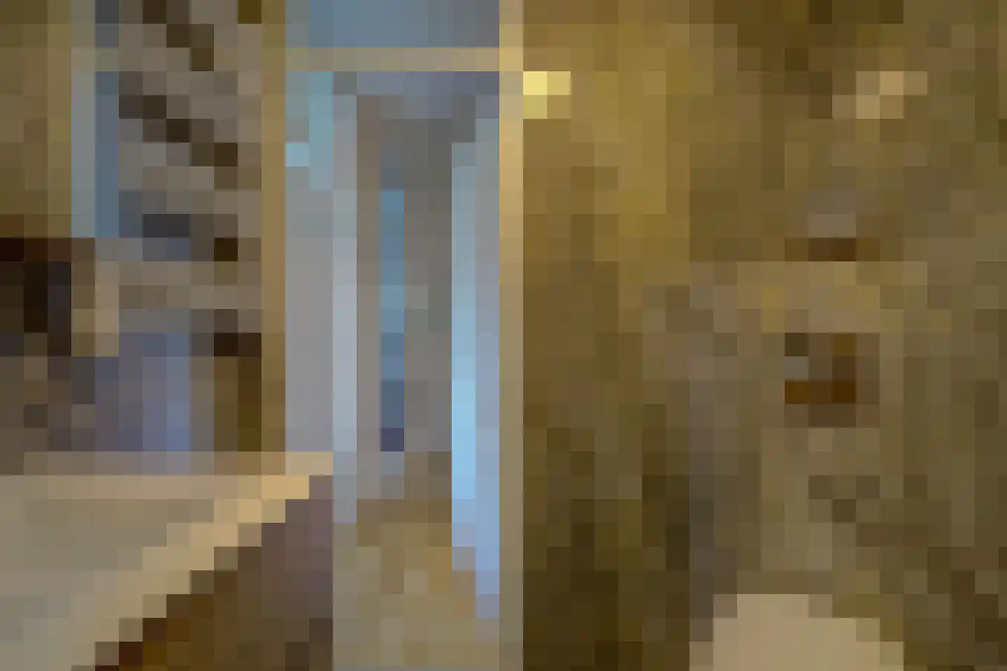 Jordaanstraat 10 Spijkenisse thumbnail 17