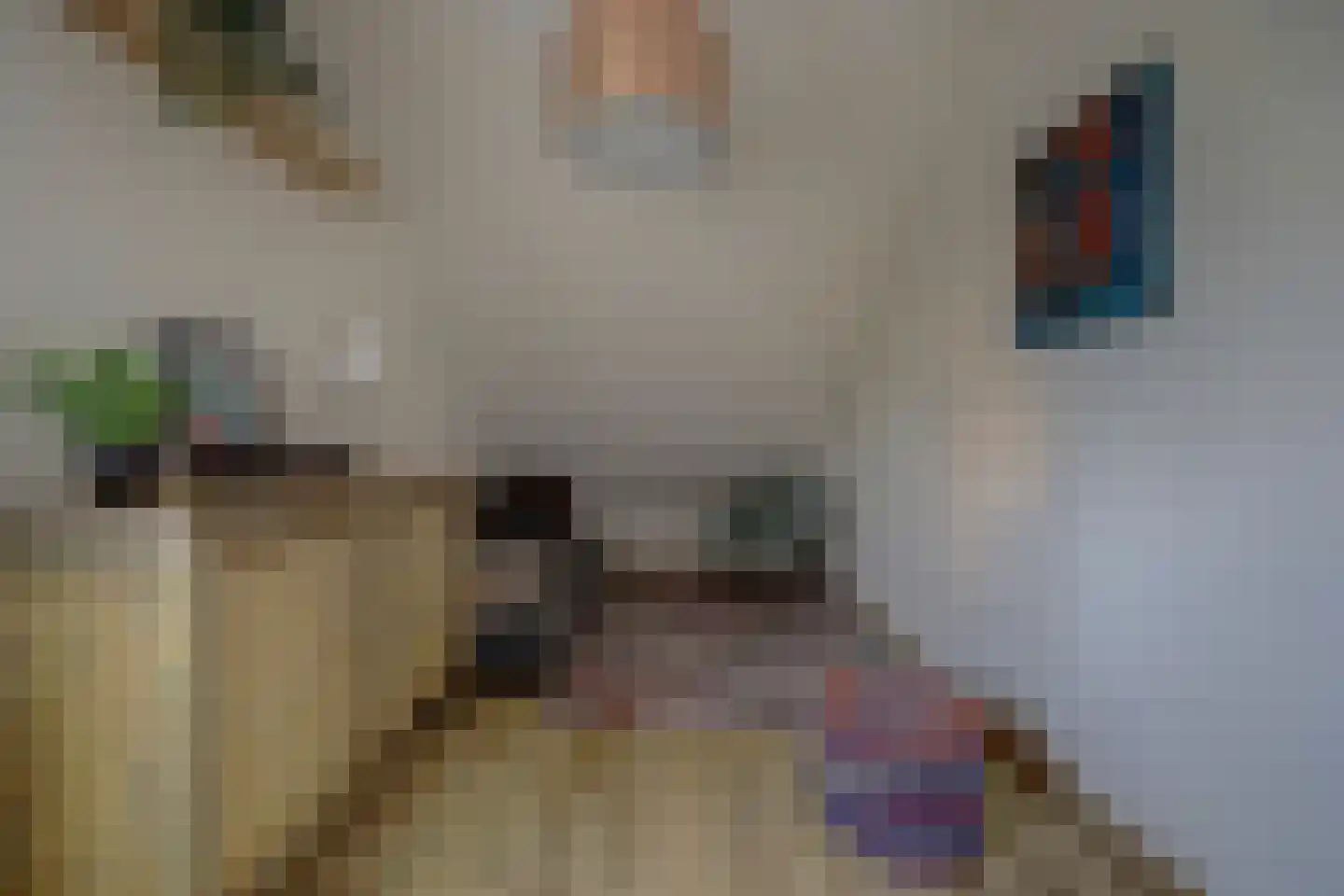 Jordaanstraat 10 Spijkenisse thumbnail 21