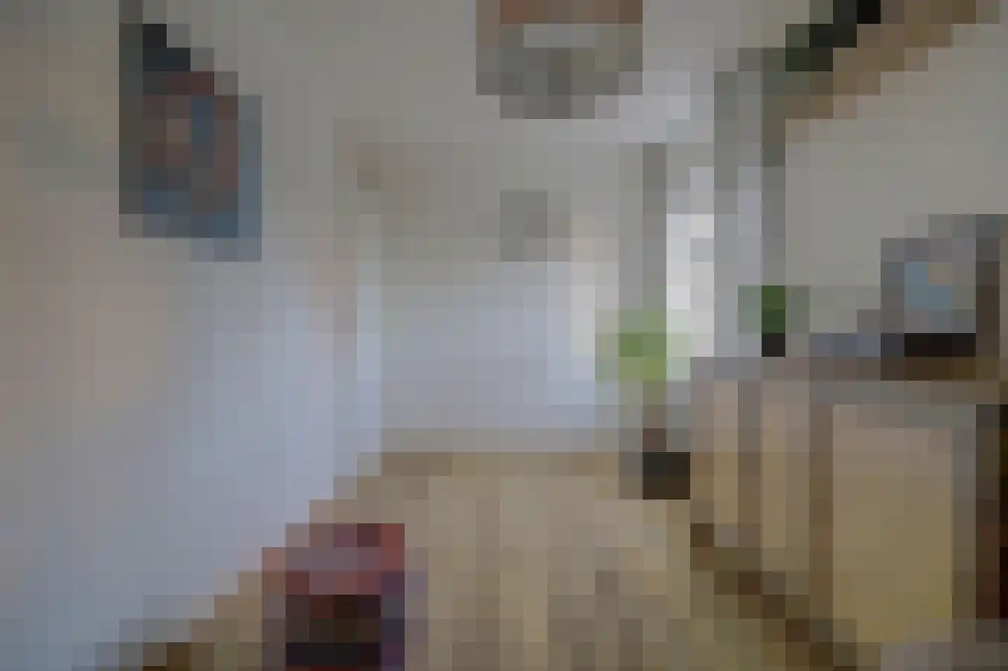 Jordaanstraat 10 Spijkenisse thumbnail 22