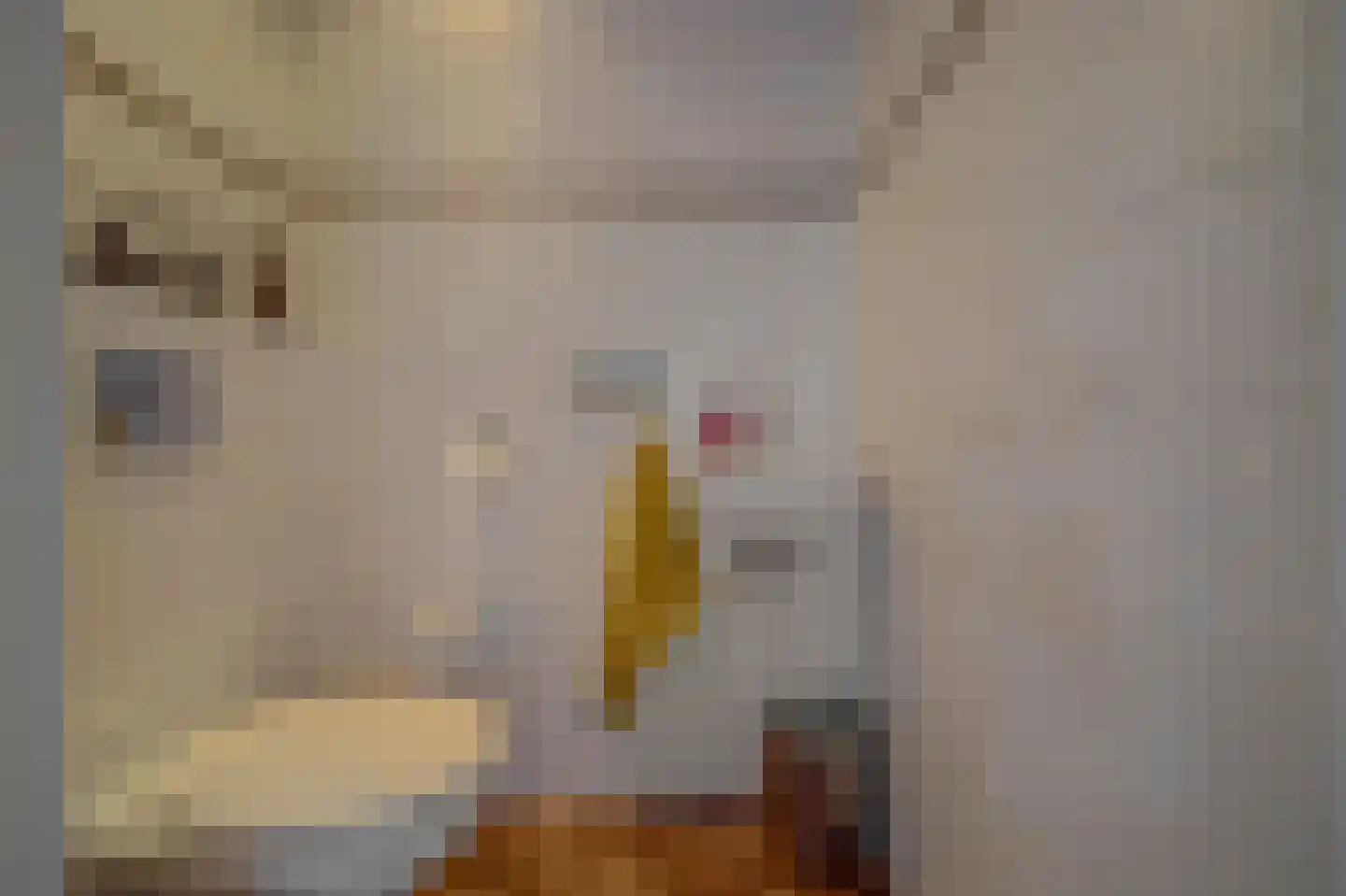 Jordaanstraat 10 Spijkenisse thumbnail 25