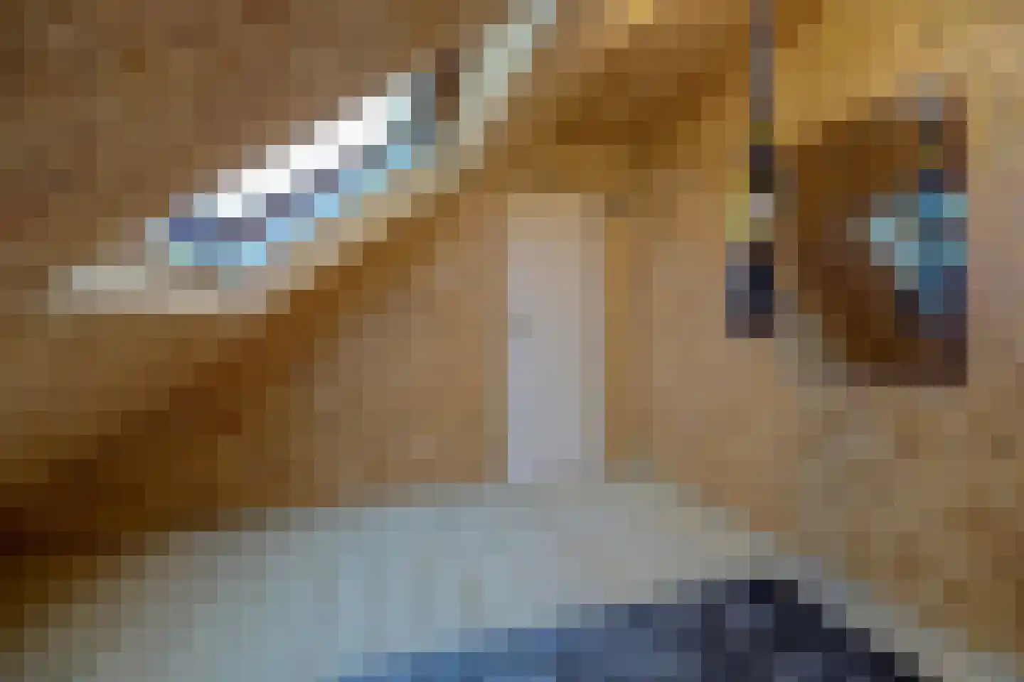 Jordaanstraat 10 Spijkenisse thumbnail 30