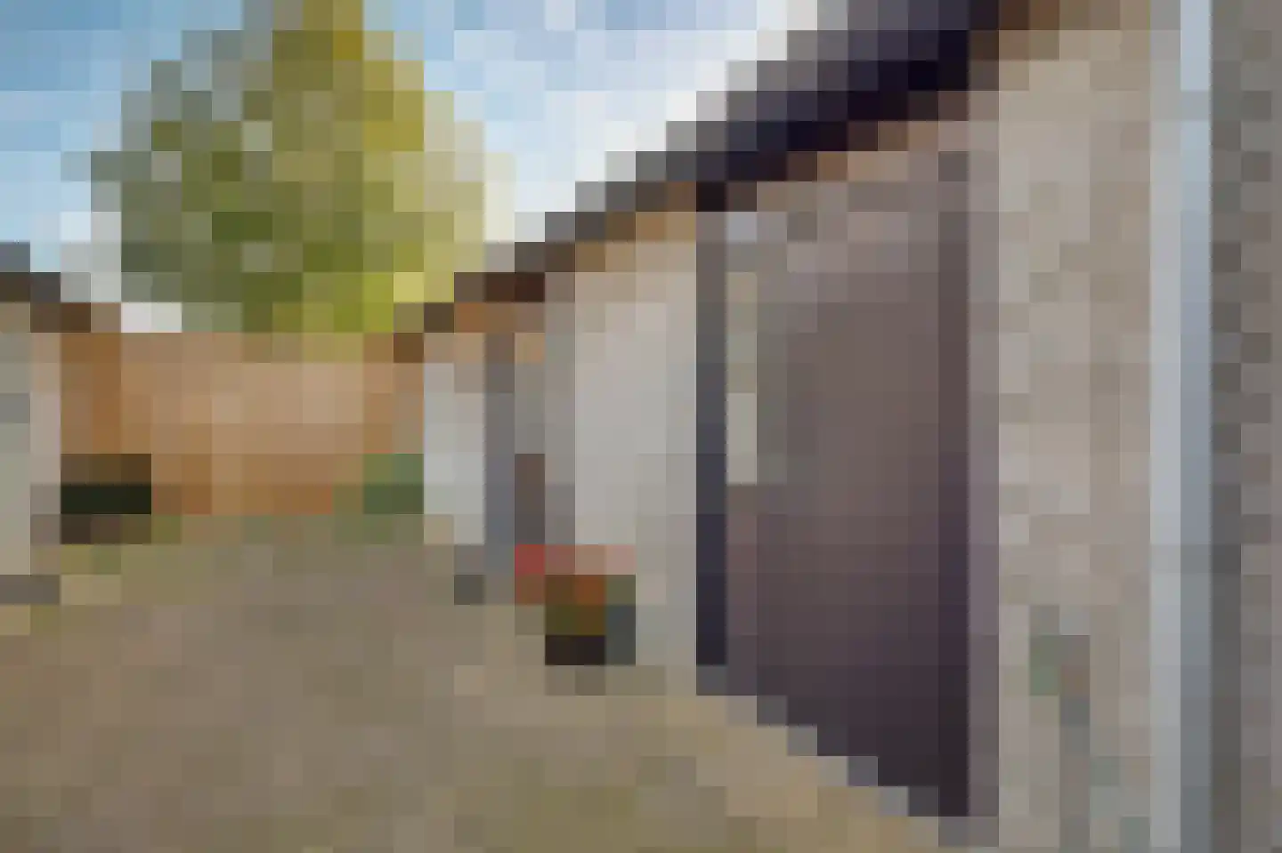 Jordaanstraat 10 Spijkenisse thumbnail 33