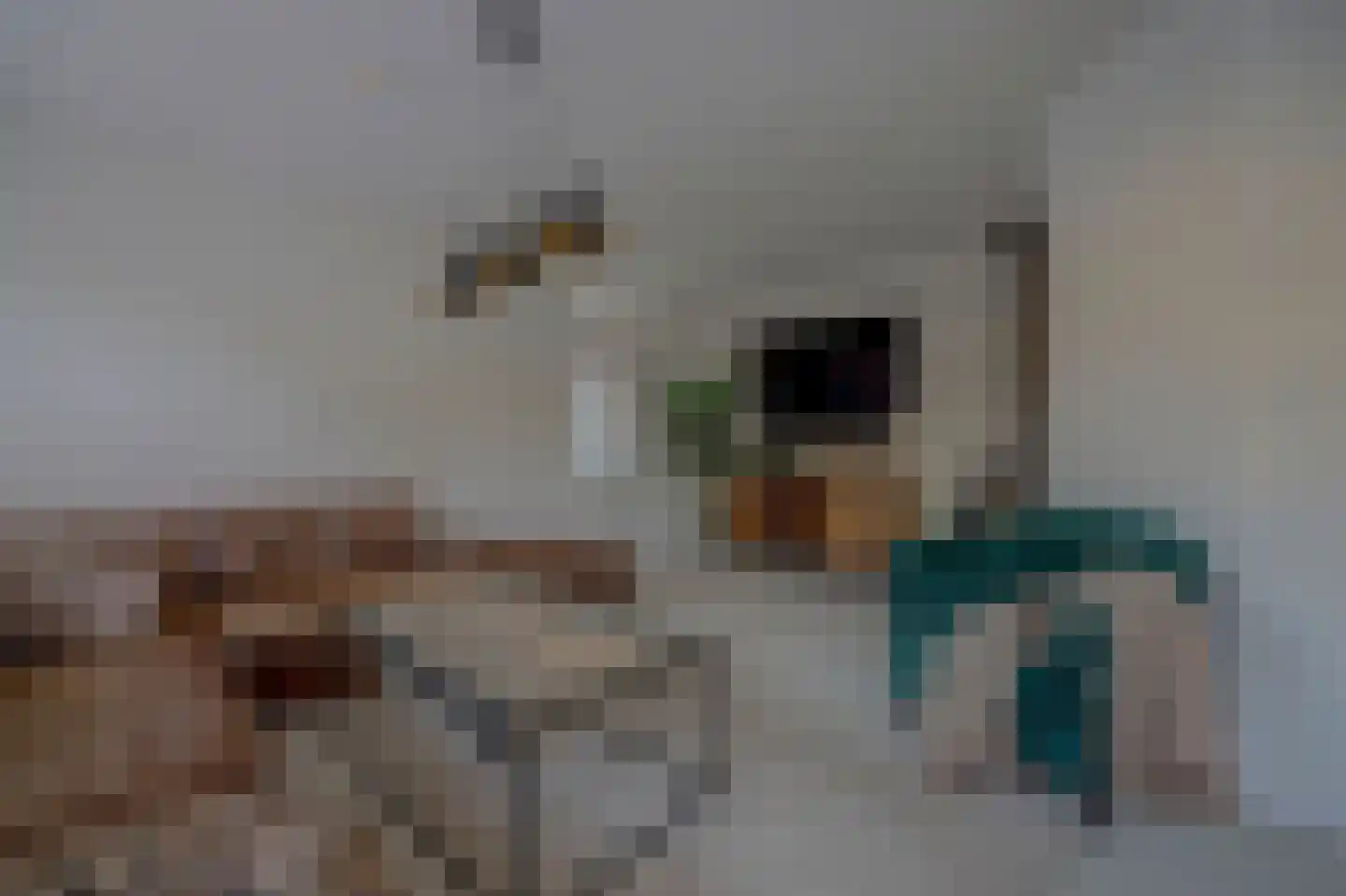Jordaanstraat 10 Spijkenisse thumbnail 9