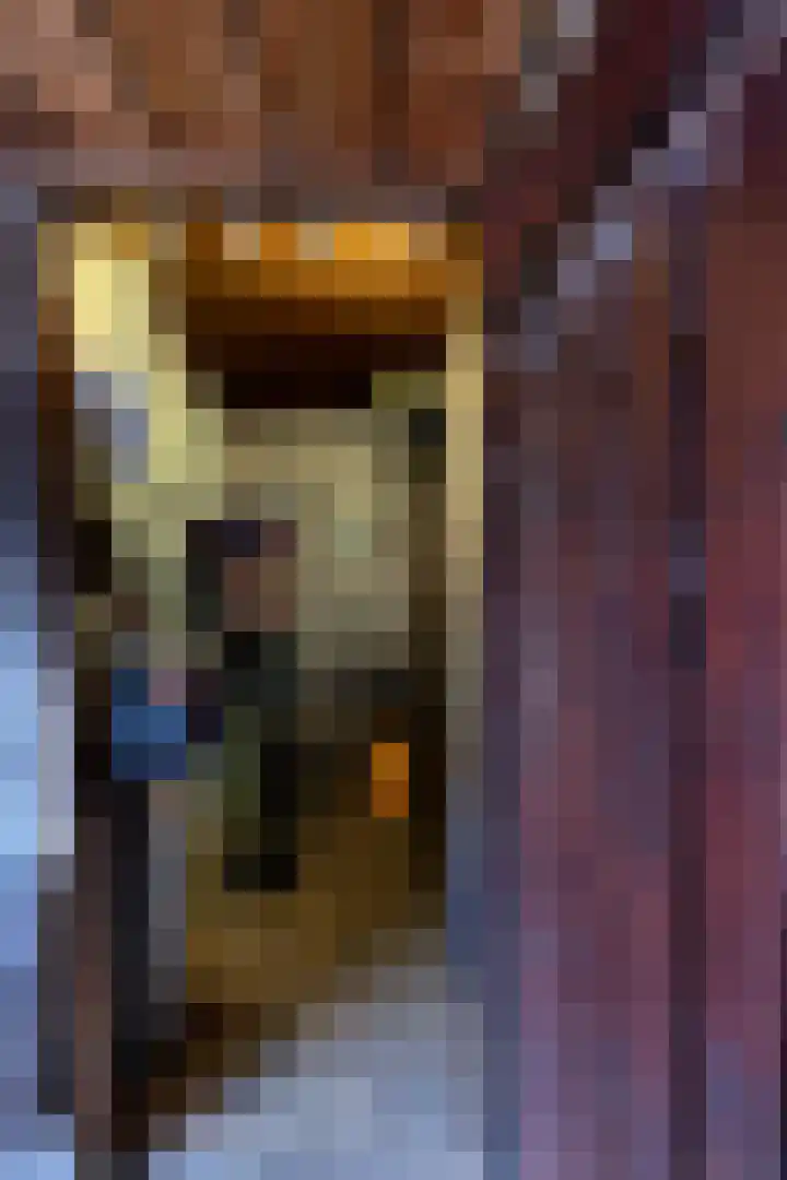 Jordaanstraat 14 Spijkenisse thumbnail 42