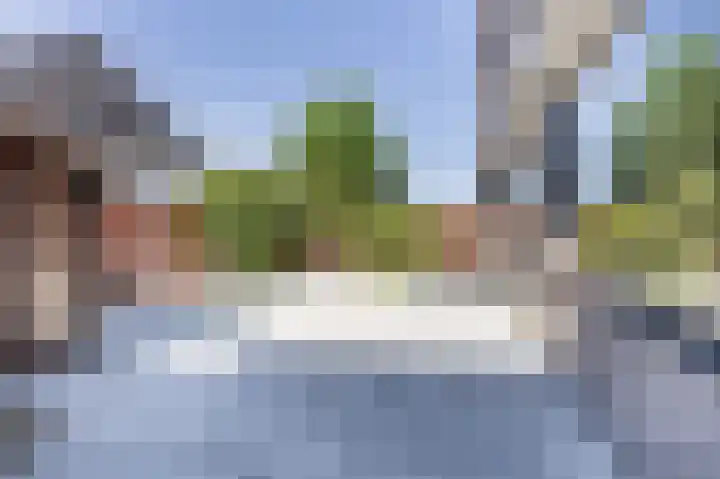 Jordaanstraat 14 Spijkenisse thumbnail 43