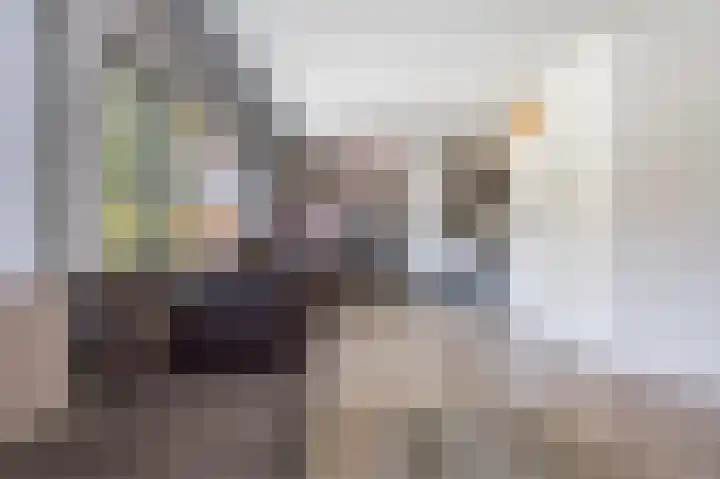 Jordaanstraat 14 Spijkenisse thumbnail 9