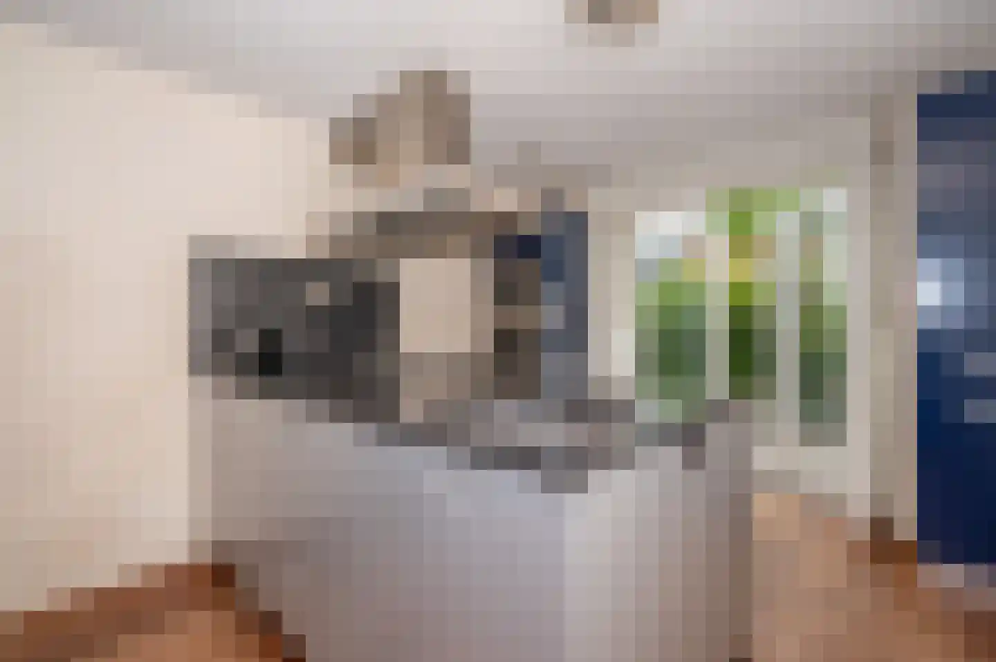 Jordaanstroom 26 Zoetermeer thumbnail 12