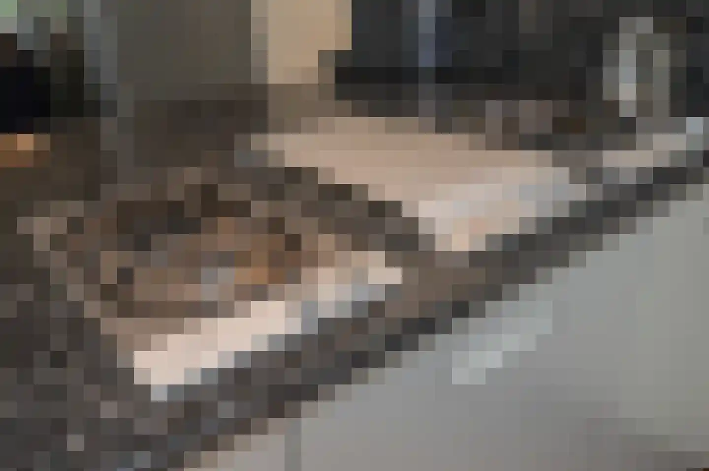 Jordaanstroom 26 Zoetermeer thumbnail 13