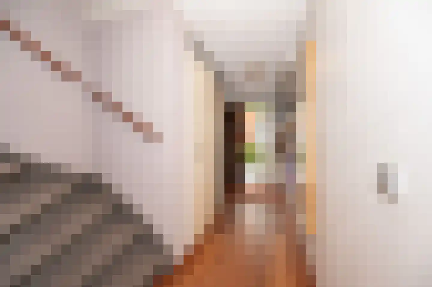 Jordaanstroom 26 Zoetermeer thumbnail 16