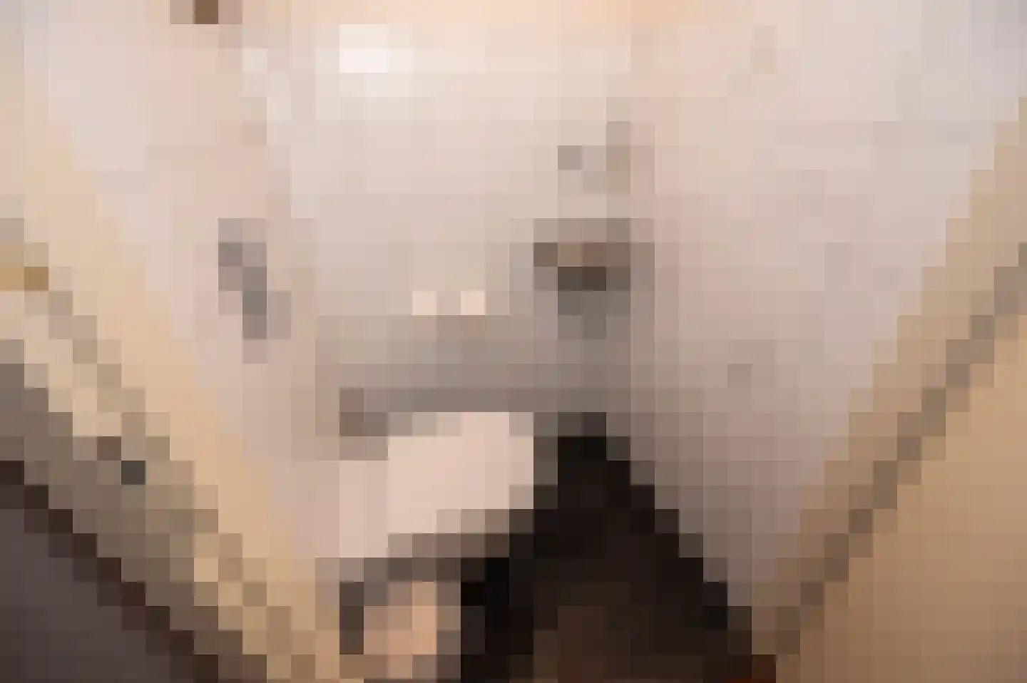 Jordaanstroom 26 Zoetermeer thumbnail 17