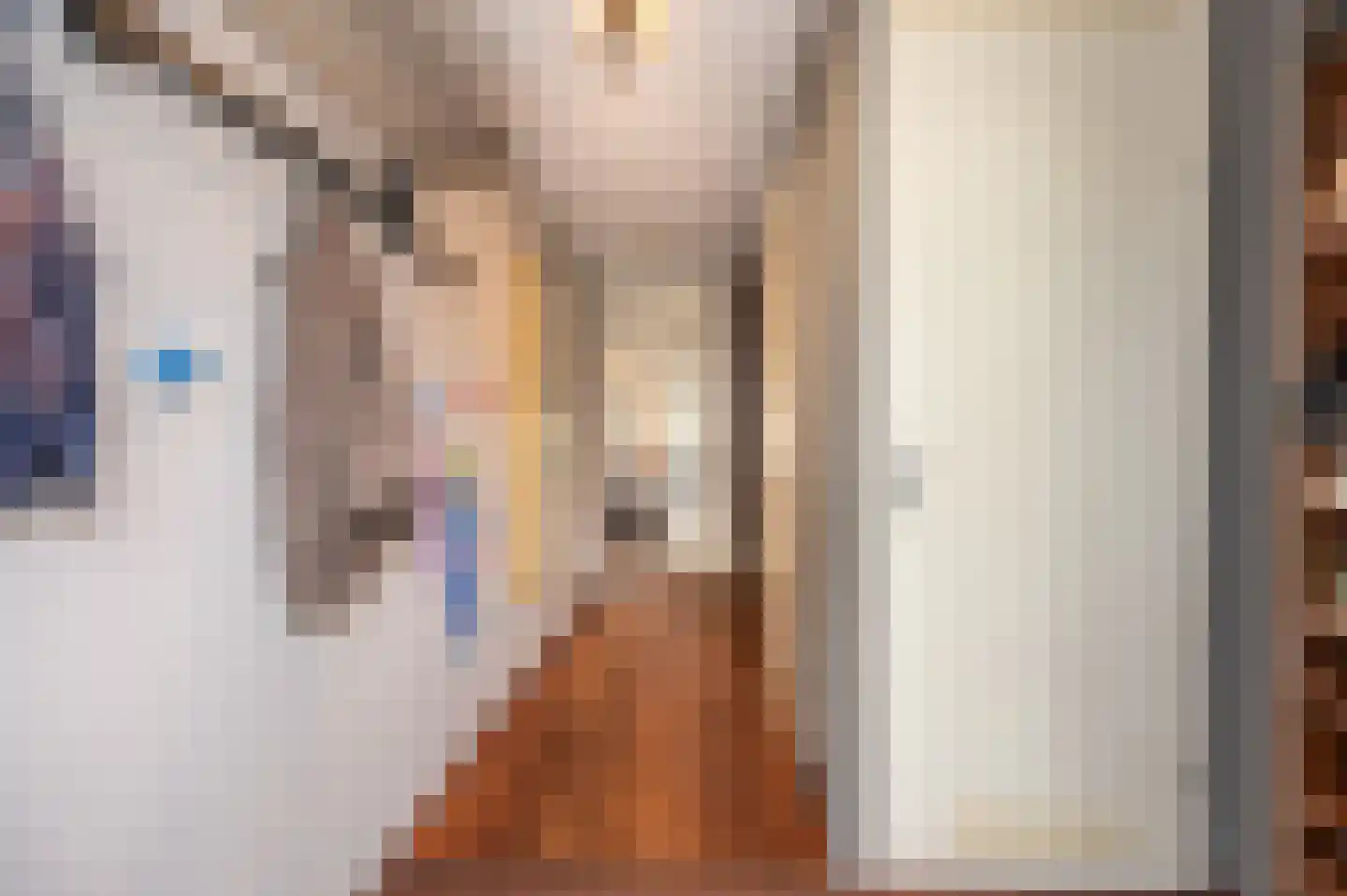Jordaanstroom 26 Zoetermeer thumbnail 18