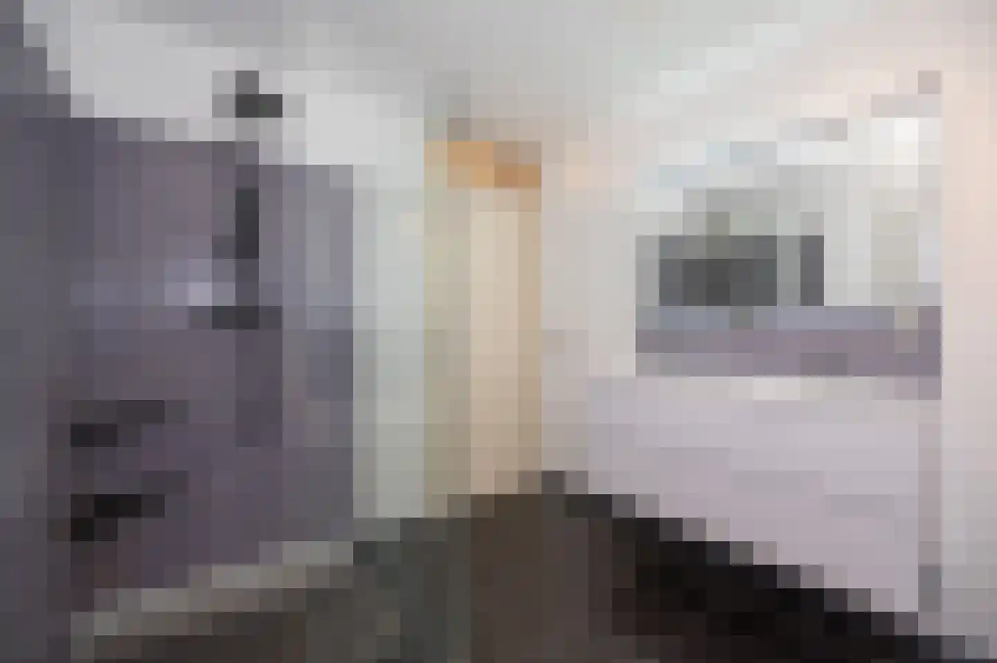 Jordaanstroom 26 Zoetermeer thumbnail 20