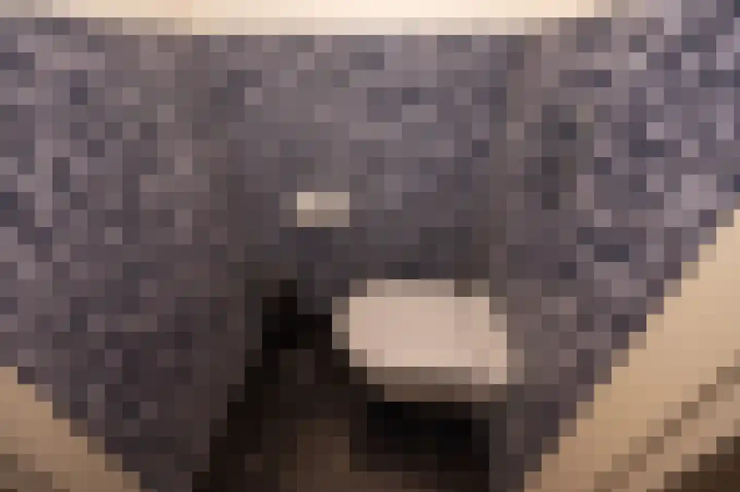 Jordaanstroom 26 Zoetermeer thumbnail 28