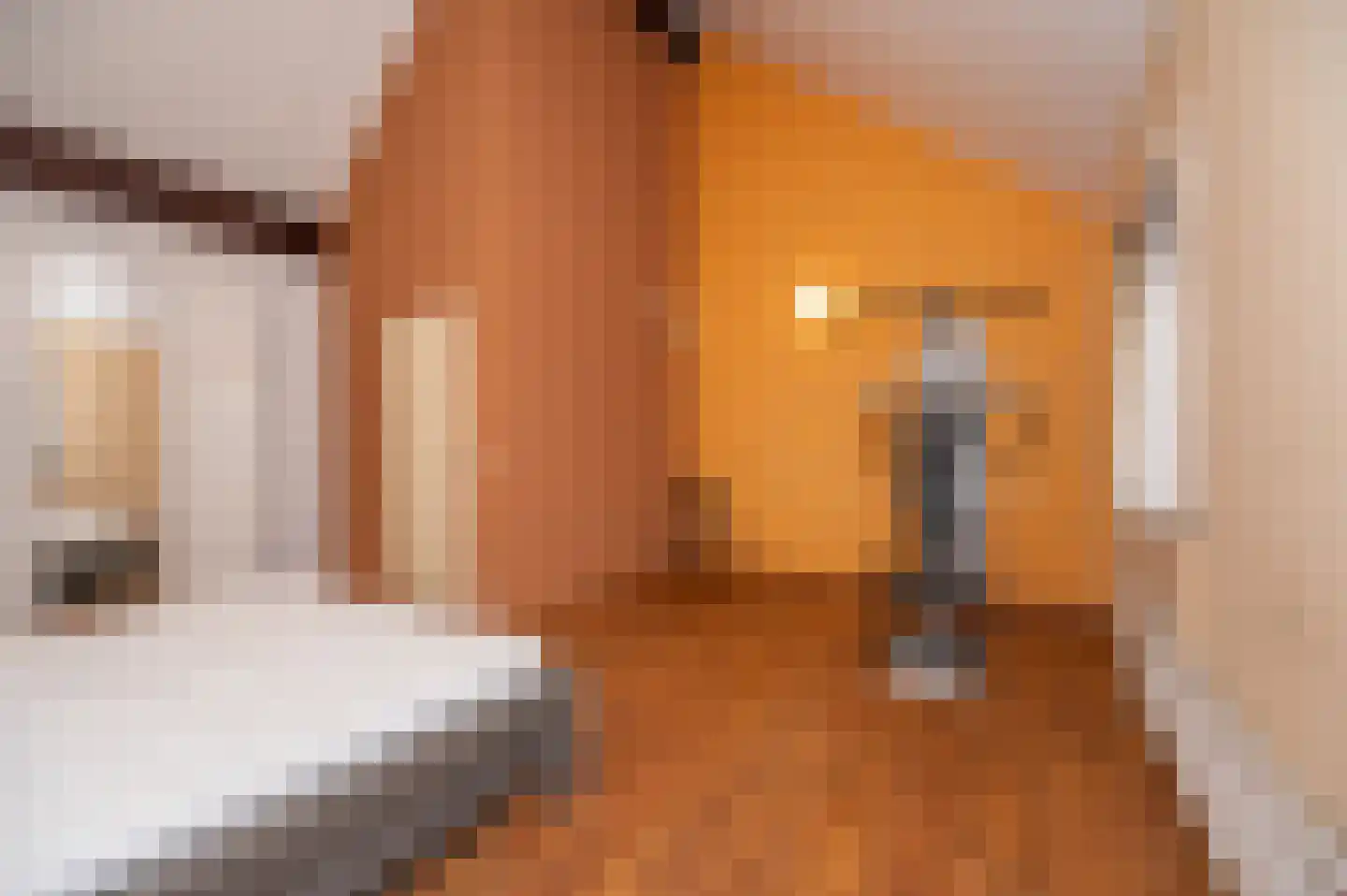 Jordaanstroom 26 Zoetermeer thumbnail 30