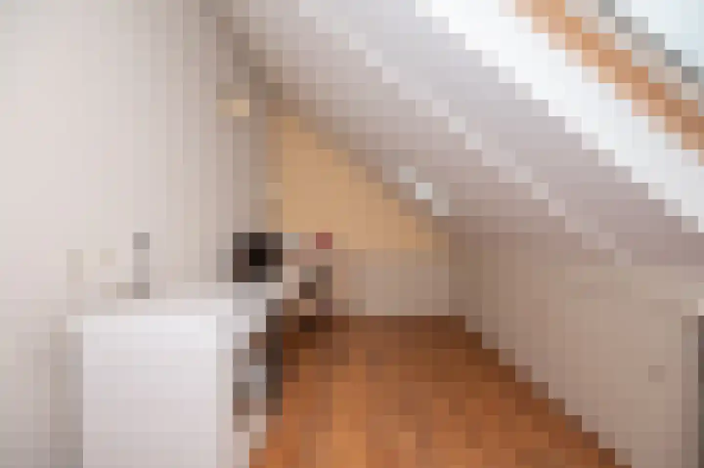 Jordaanstroom 26 Zoetermeer thumbnail 33