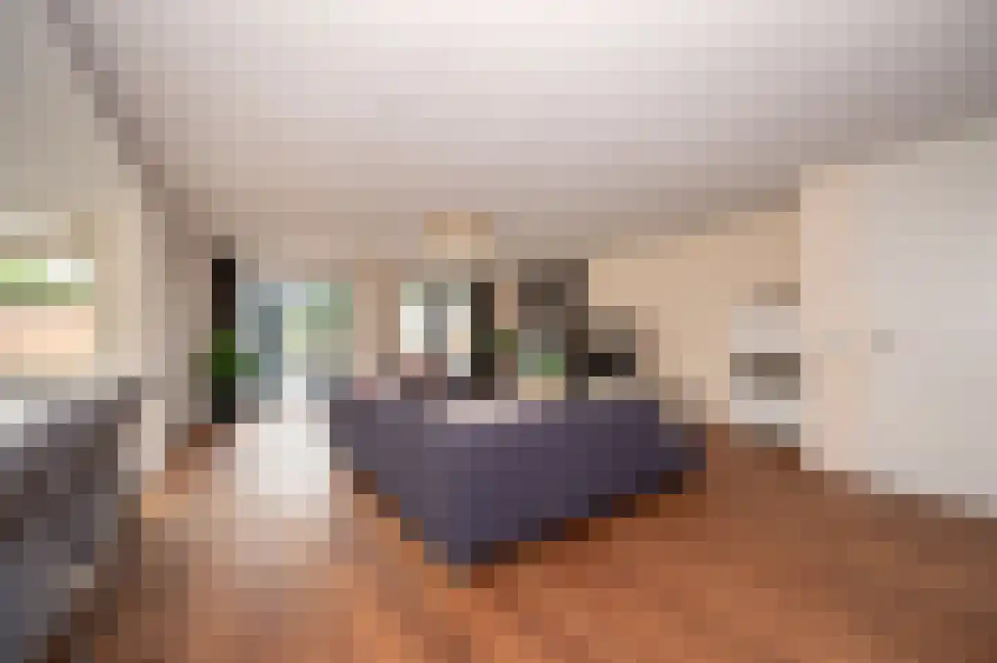 Jordaanstroom 26 Zoetermeer thumbnail 4