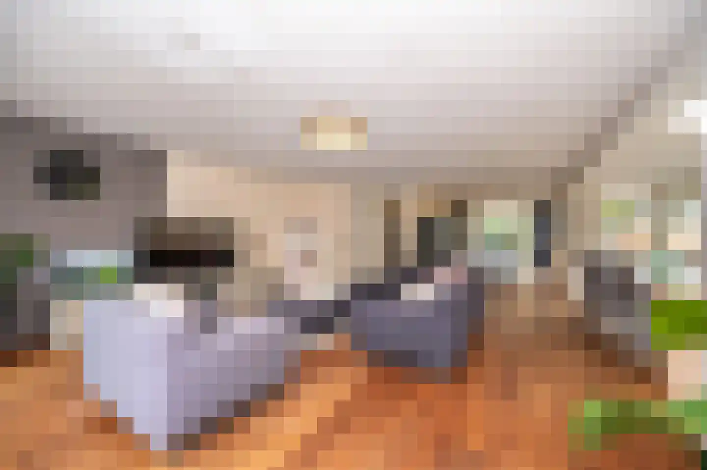 Jordaanstroom 26 Zoetermeer thumbnail 5