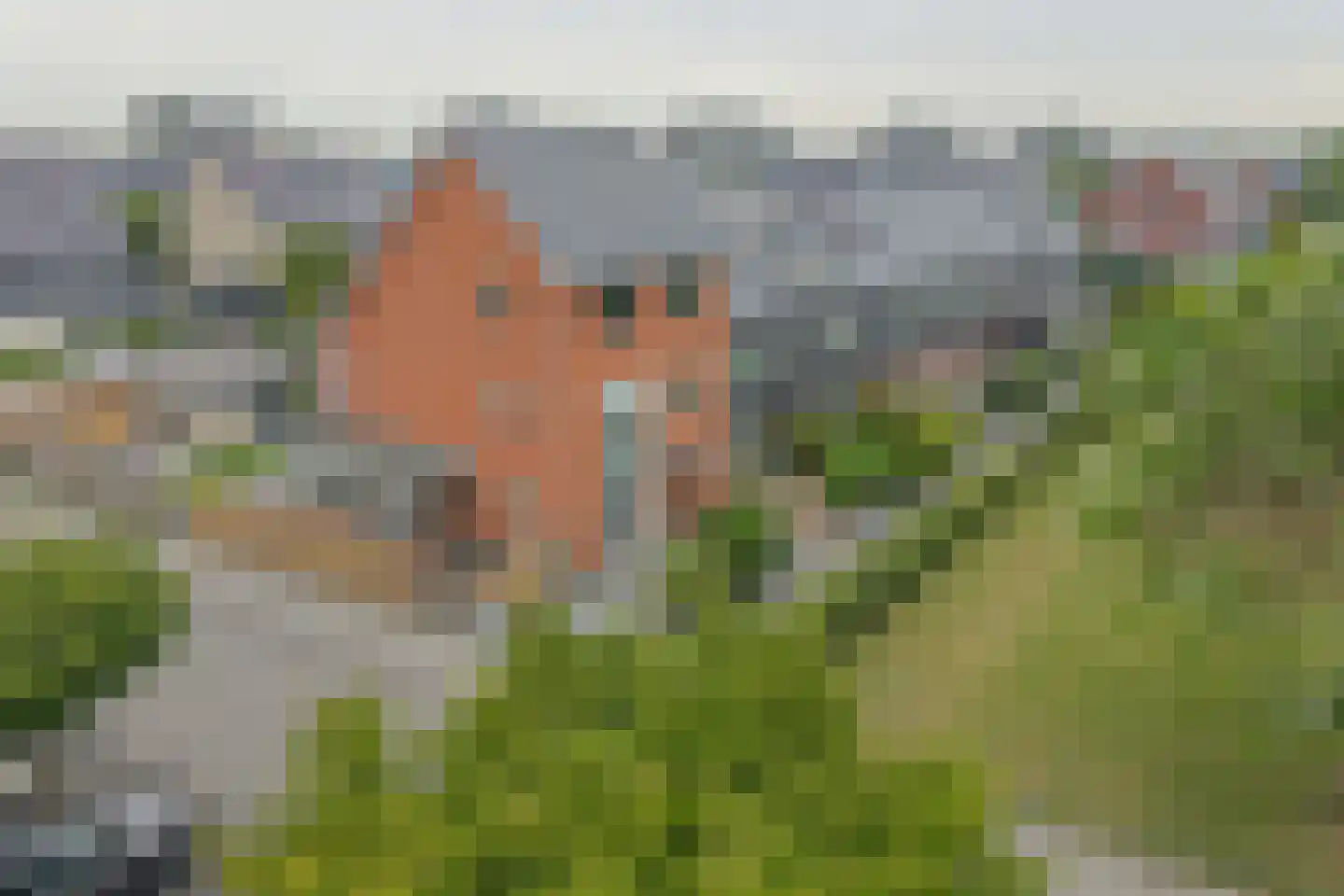 Jordaanstroom 26 Zoetermeer thumbnail 50