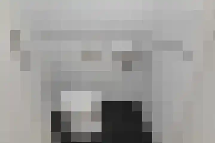 Jordaanstroom 31 Zoetermeer thumbnail 16