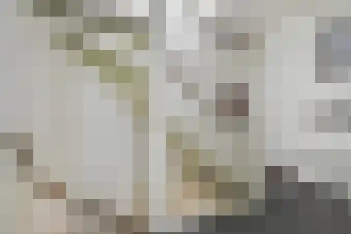 Jordaanstroom 31 Zoetermeer thumbnail 17