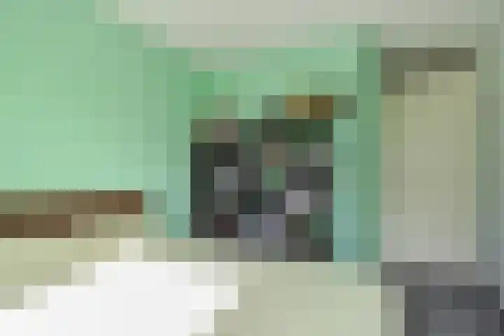 Jordaanstroom 31 Zoetermeer thumbnail 19
