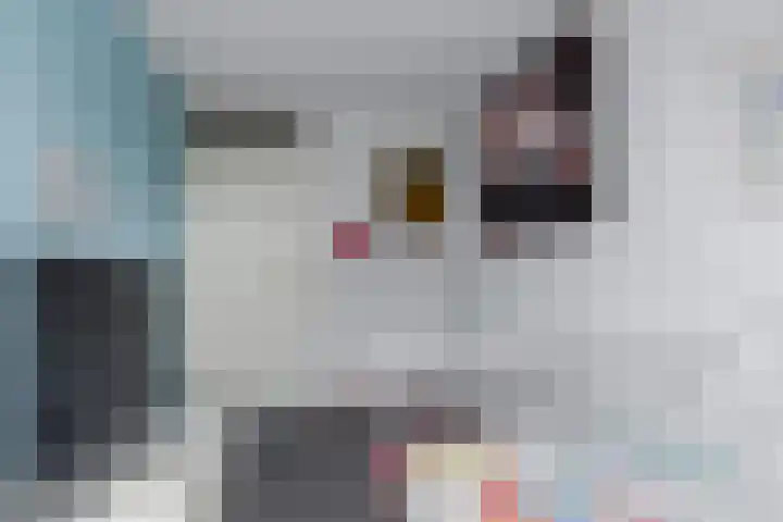 Jordaanstroom 31 Zoetermeer thumbnail 21