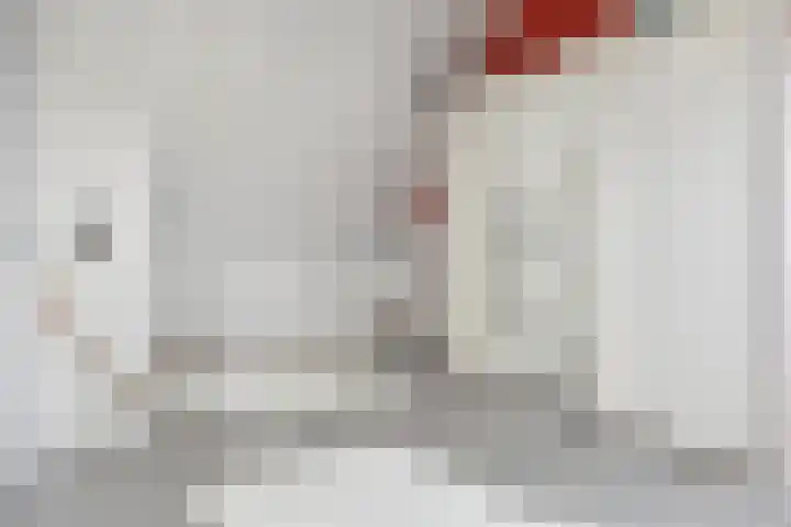 Jordaanstroom 31 Zoetermeer thumbnail 27