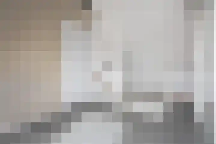 Jordaanstroom 31 Zoetermeer thumbnail 28