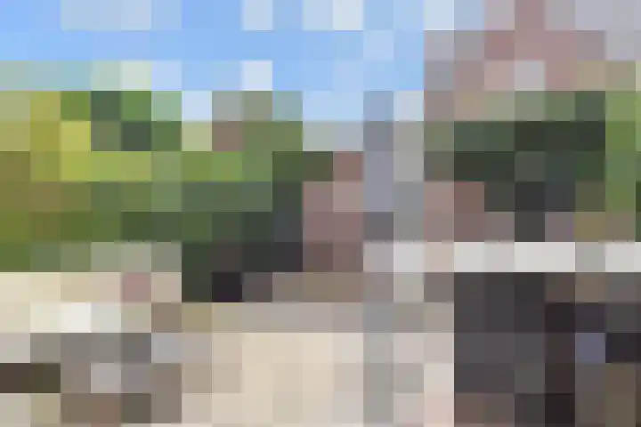 Jordaanstroom 31 Zoetermeer thumbnail 32