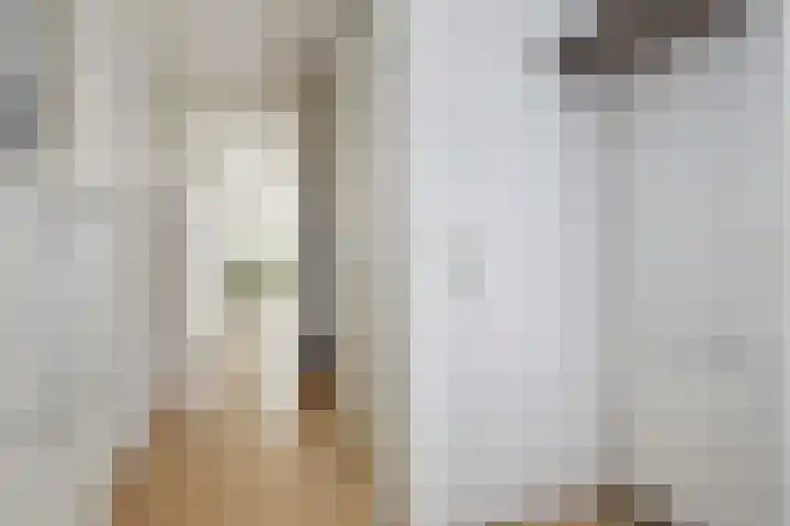 Jordaanstroom 31 Zoetermeer thumbnail 9