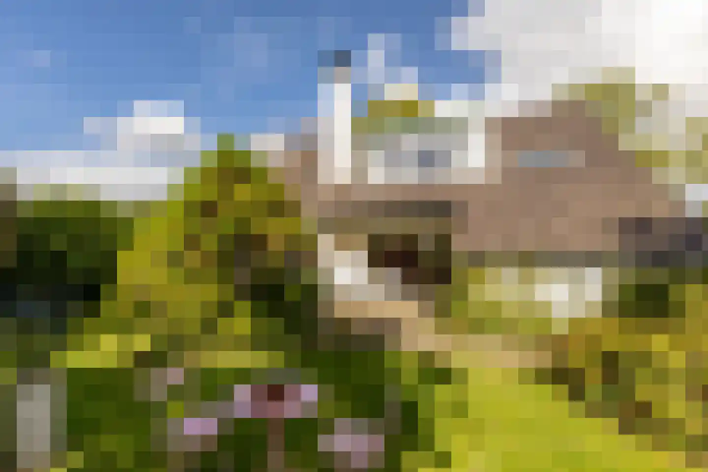 Jordaensdreef 47 Oud-Beijerland thumbnail 33