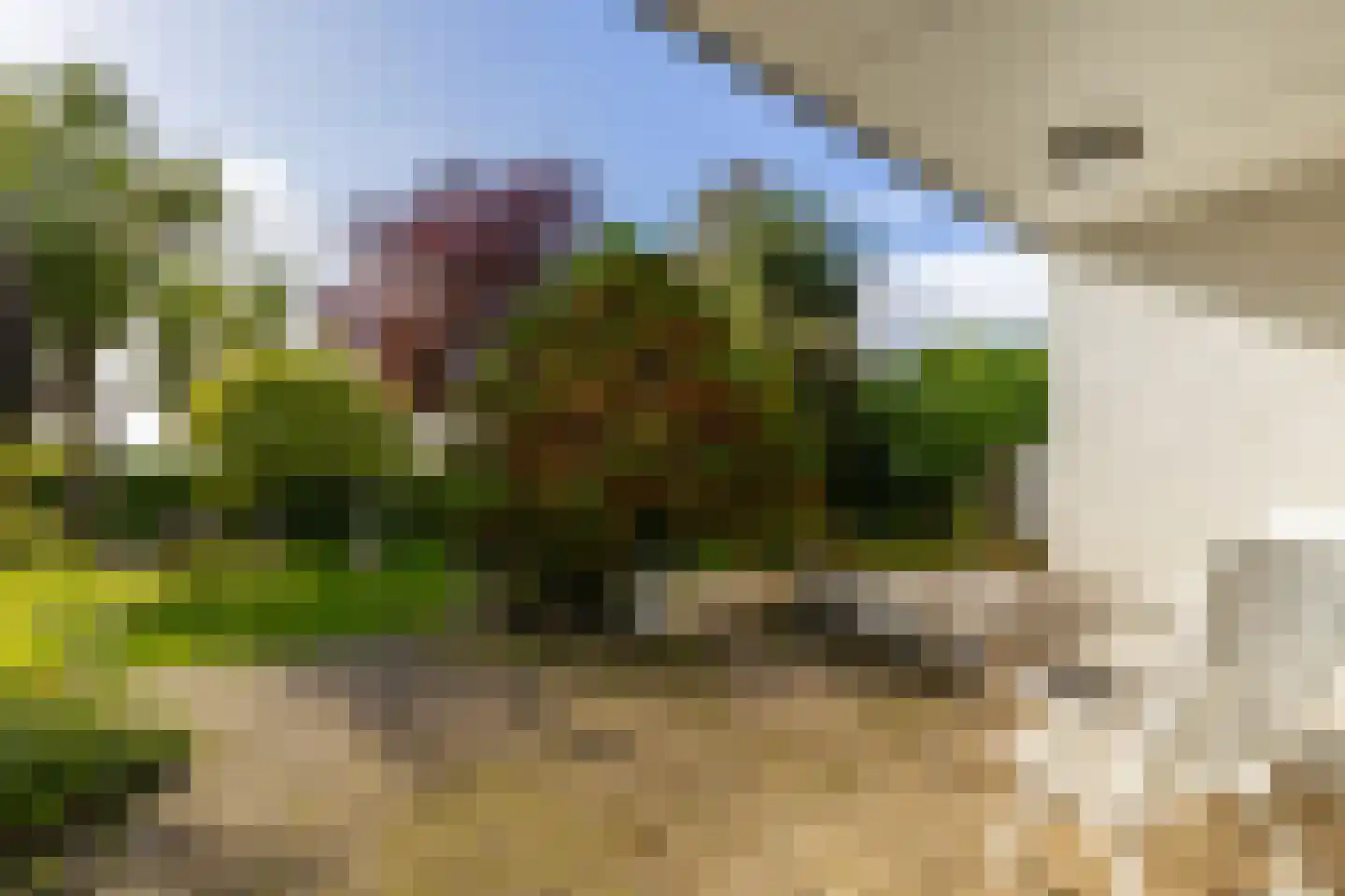 Jordaensdreef 47 Oud-Beijerland thumbnail 34