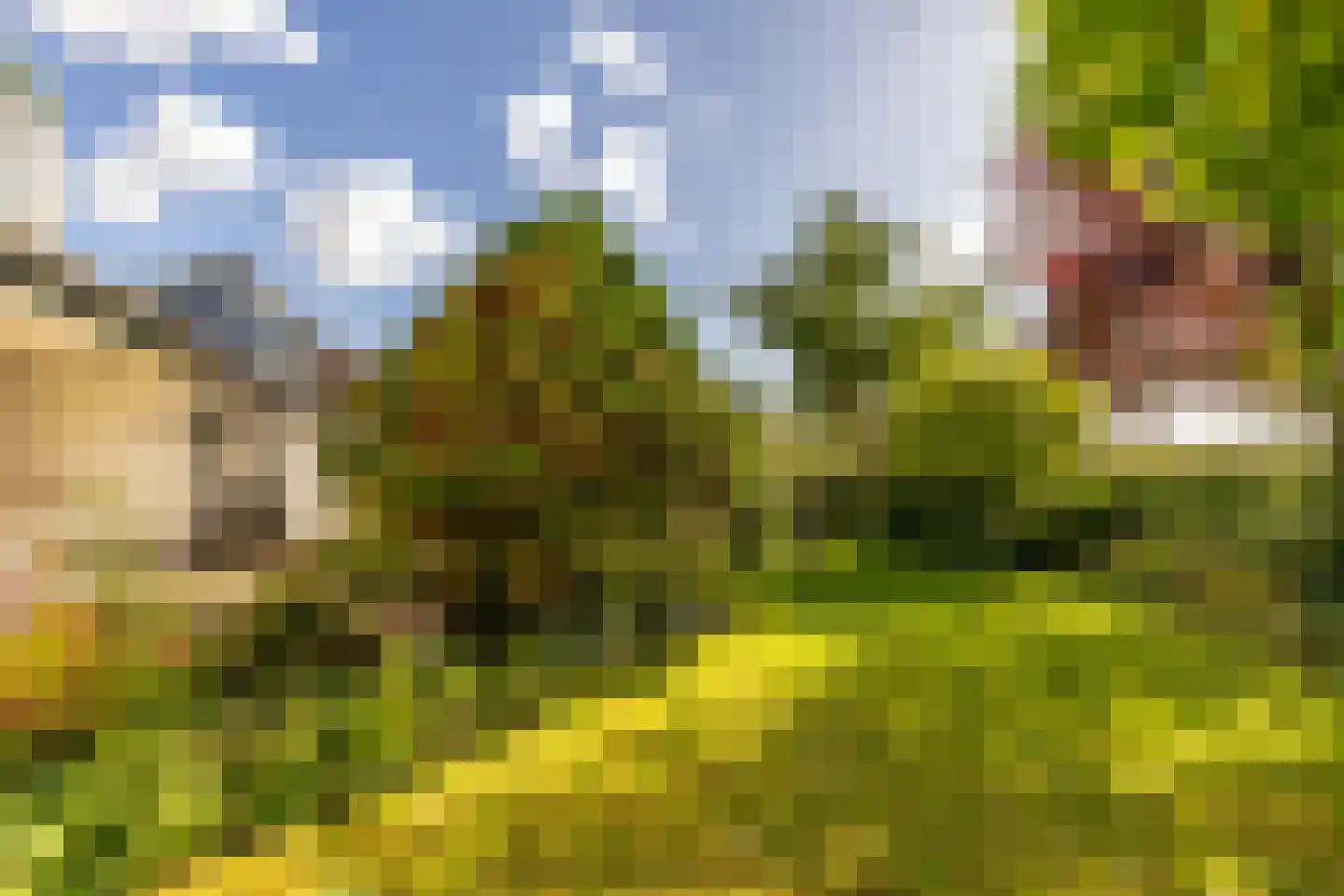 Jordaensdreef 47 Oud-Beijerland thumbnail 35