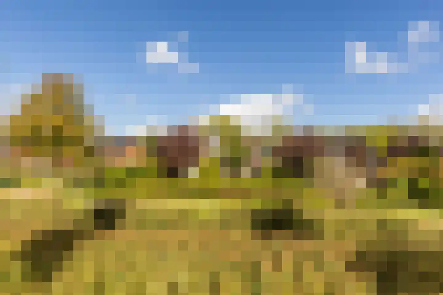 Jordaensdreef 47 Oud-Beijerland thumbnail 37