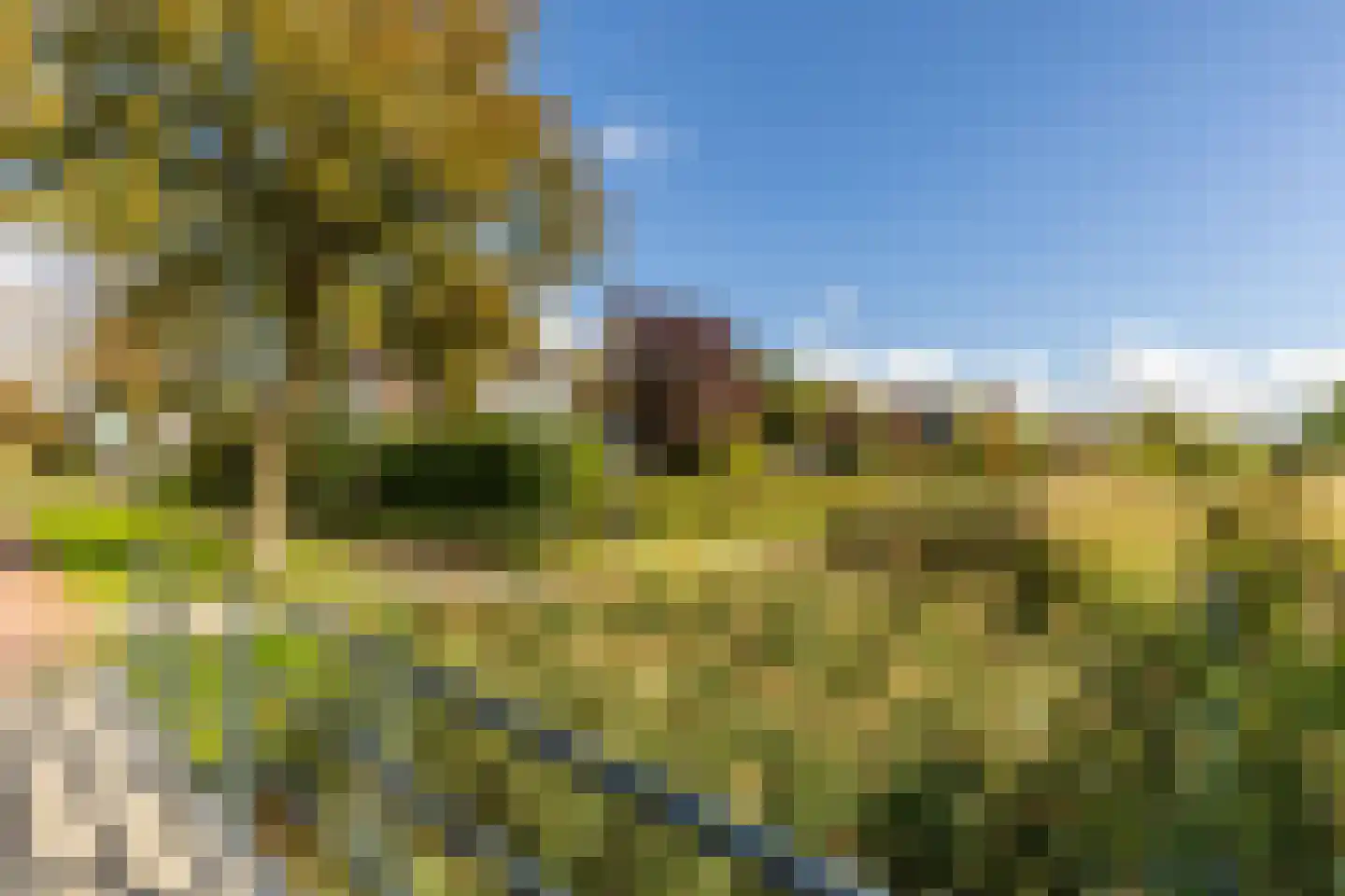 Jordaensdreef 47 Oud-Beijerland thumbnail 38