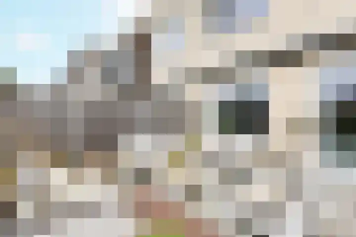 Jordaenslaan 55 Vlissingen thumbnail 24