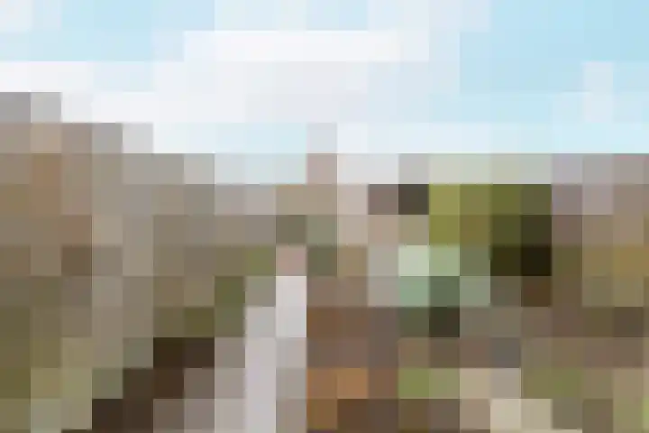 Jordaenslaan 55 Vlissingen thumbnail 25