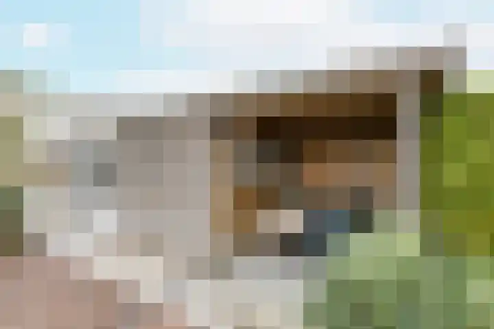 Jordaenslaan 55 Vlissingen thumbnail 26