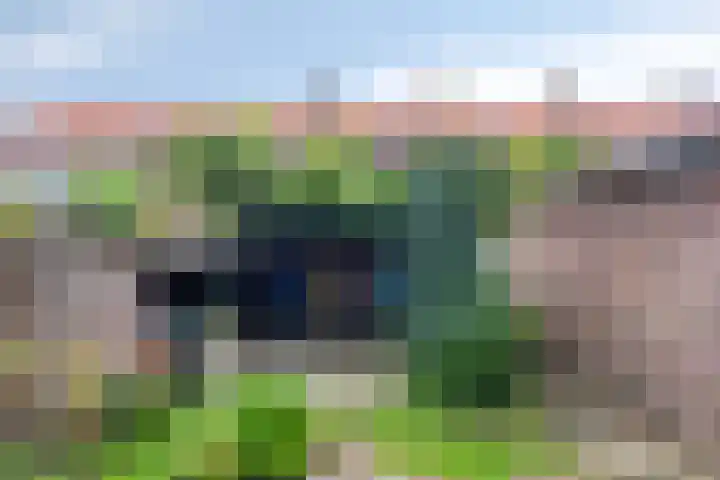 Jordaensplein 26 Roosendaal thumbnail 18