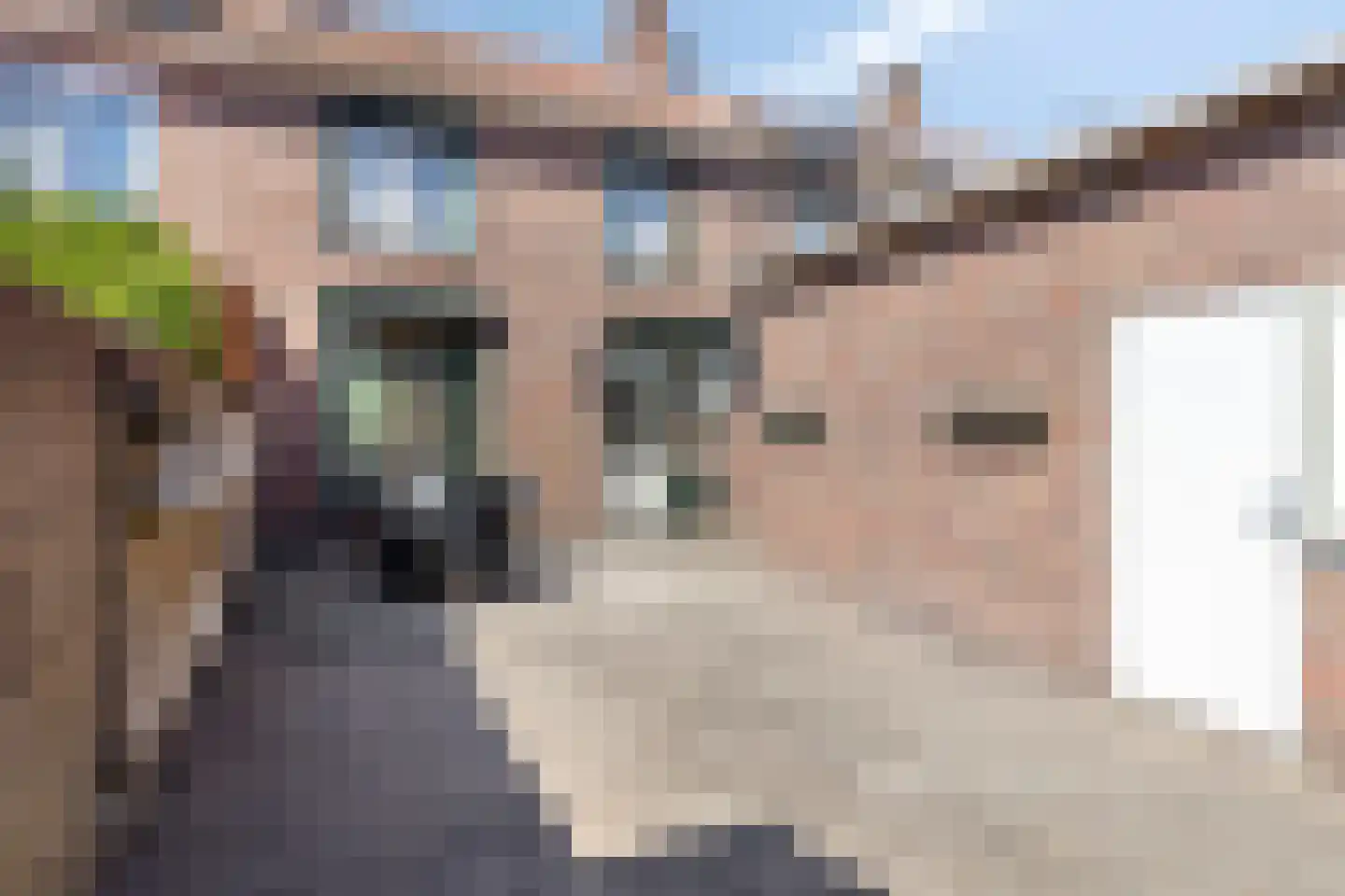 Jordaensplein 46 Roosendaal thumbnail 26