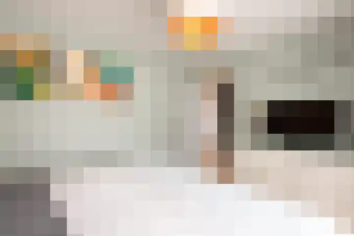 Jordaensstraat 4 Putte thumbnail 22