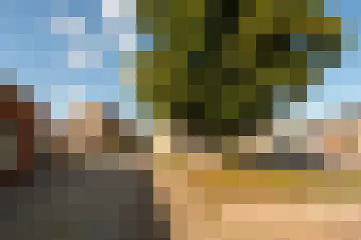 Jordaensstraat 4 Putte thumbnail 45