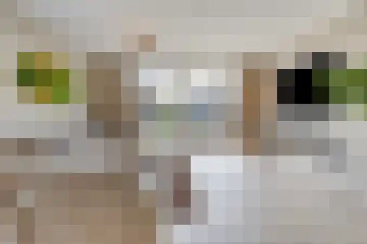 Jordenshoeve 2 Helmond thumbnail 13