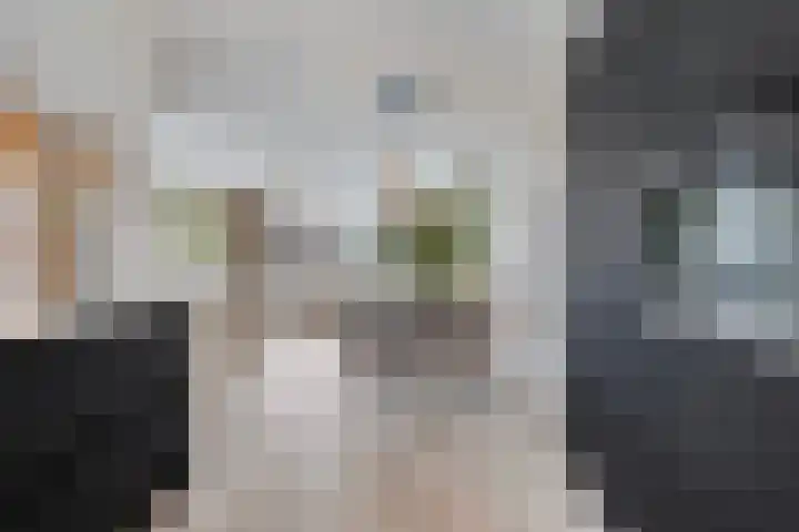 Jordenshoeve 2 Helmond thumbnail 22