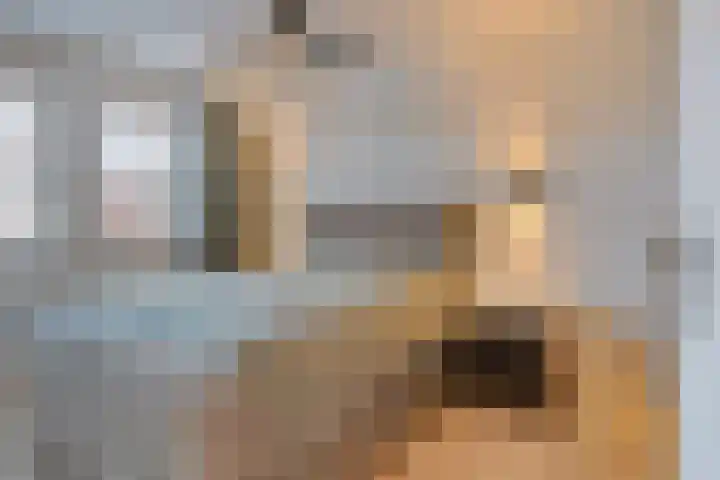 Jordenshoeve 2 Helmond thumbnail 25