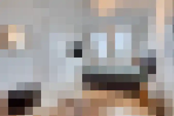 Jordenshoeve 2 Helmond thumbnail 34